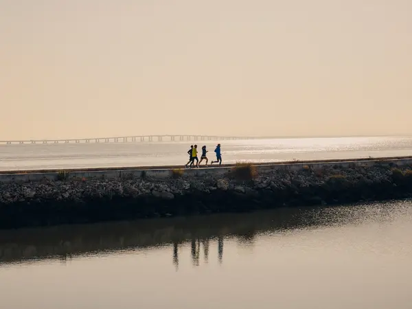Asics, photograph by Paul Calver