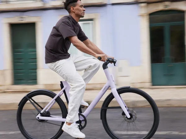 Cowboy Bikes