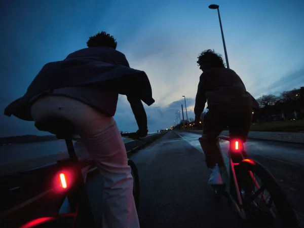 Cowboy Bikes