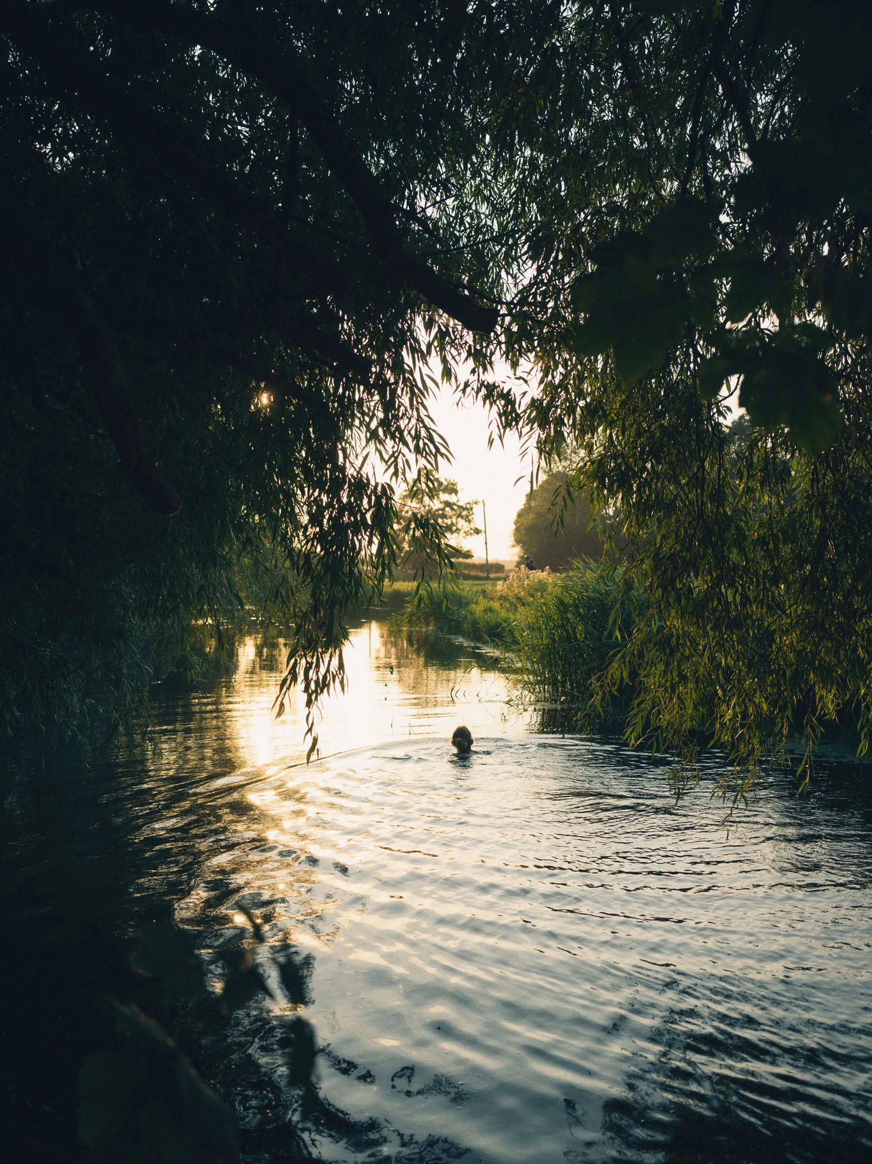 Daydreamer, photograph by Paul Calver