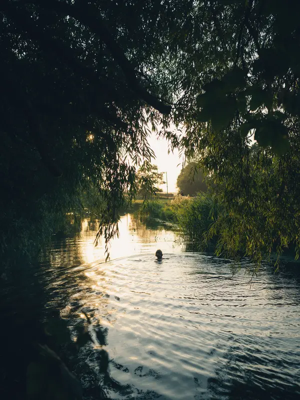 Daydreamer, photograph by Paul Calver