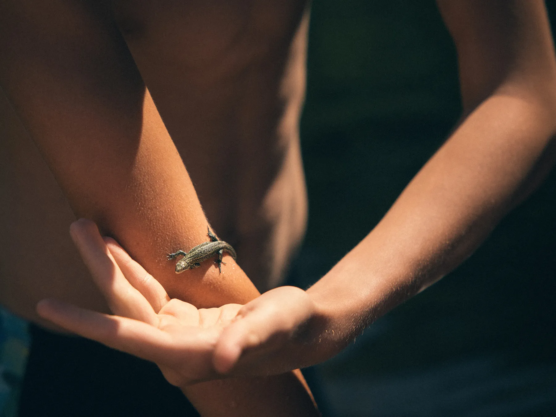 Daydreamer, photograph by Paul Calver