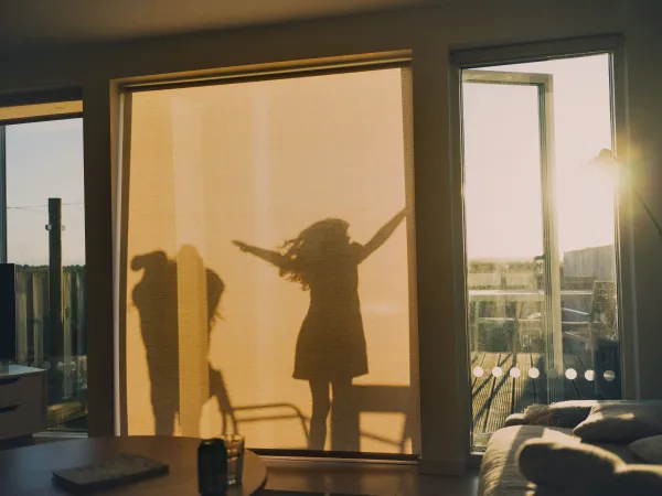Daydreamer