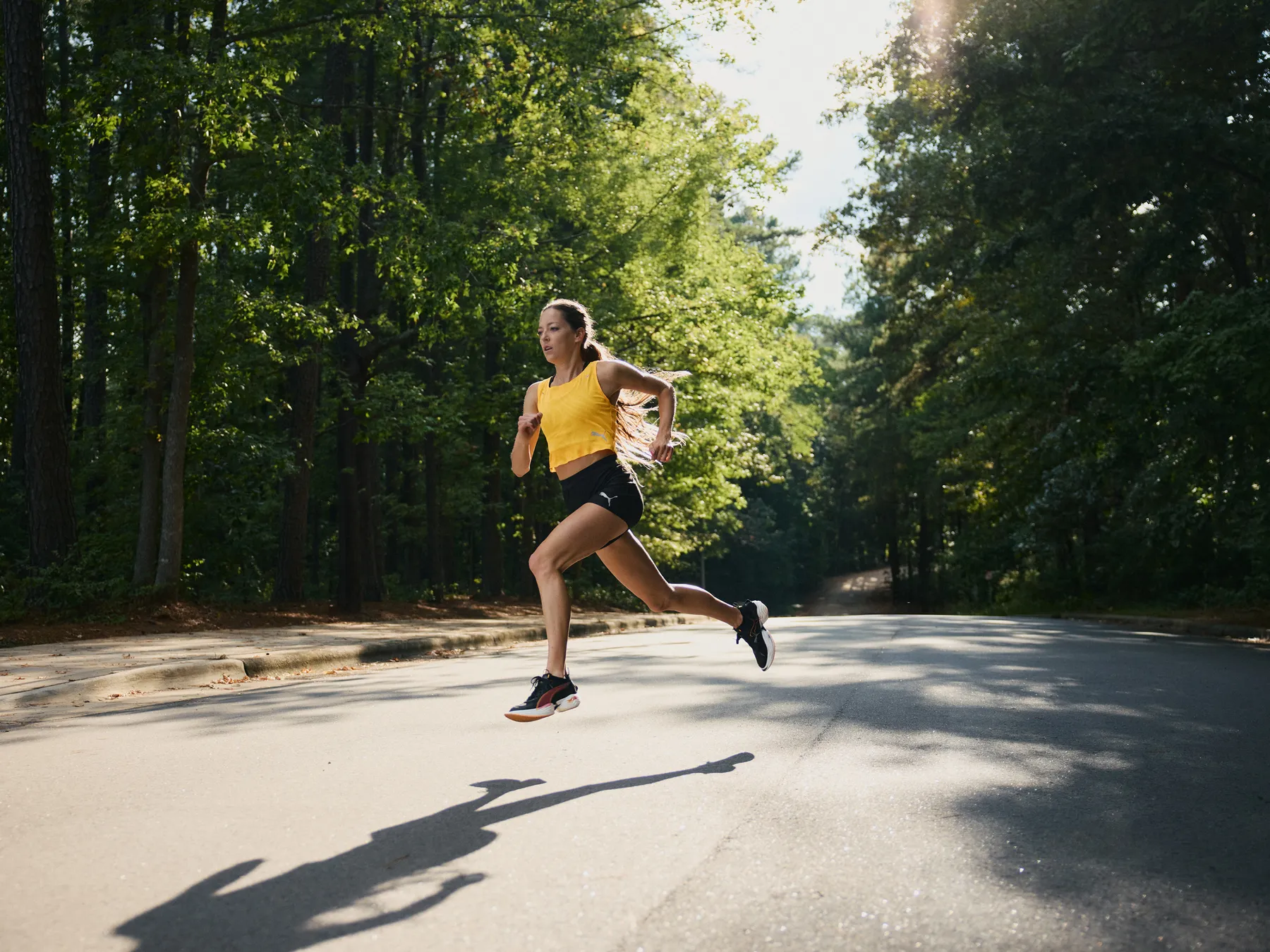 Puma Running, photograph by Paul Calver