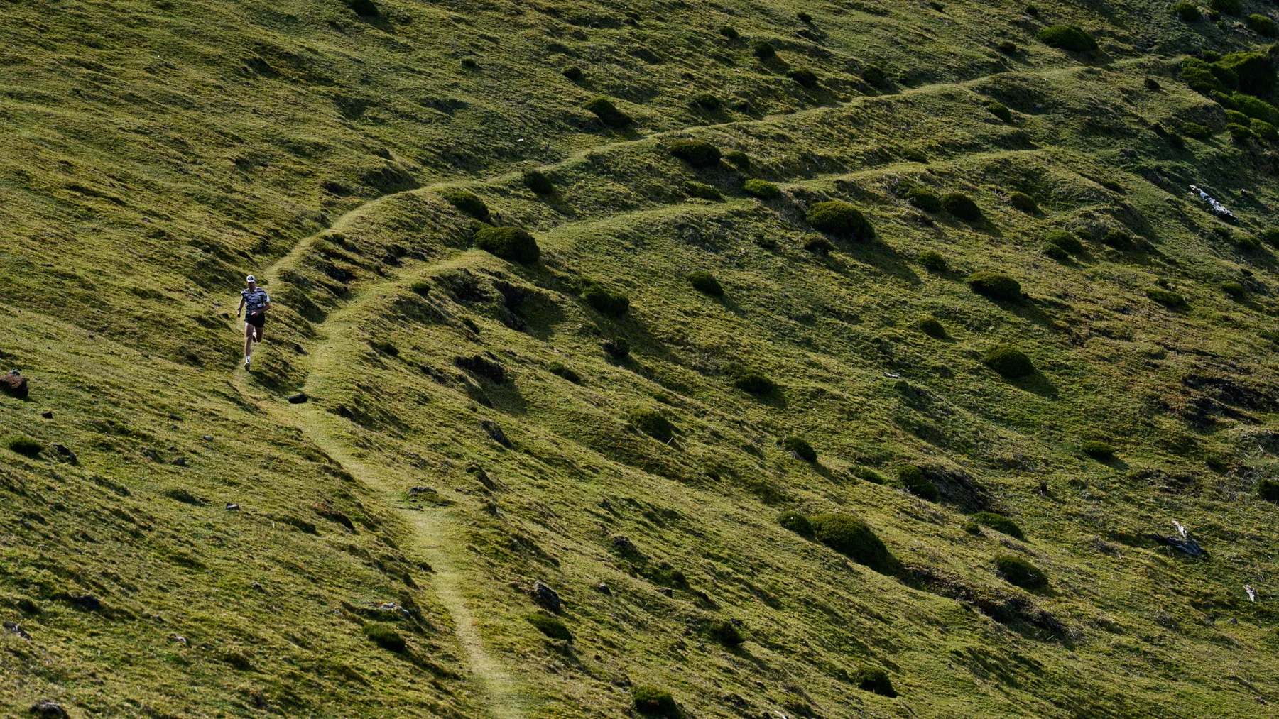 Soar No Boundaries, photograph by Paul Calver