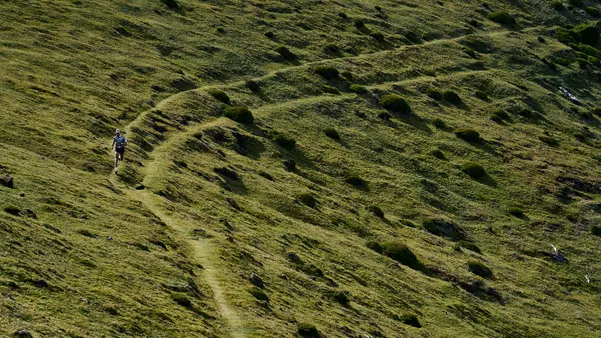 Soar No Boundaries, photograph by Paul Calver