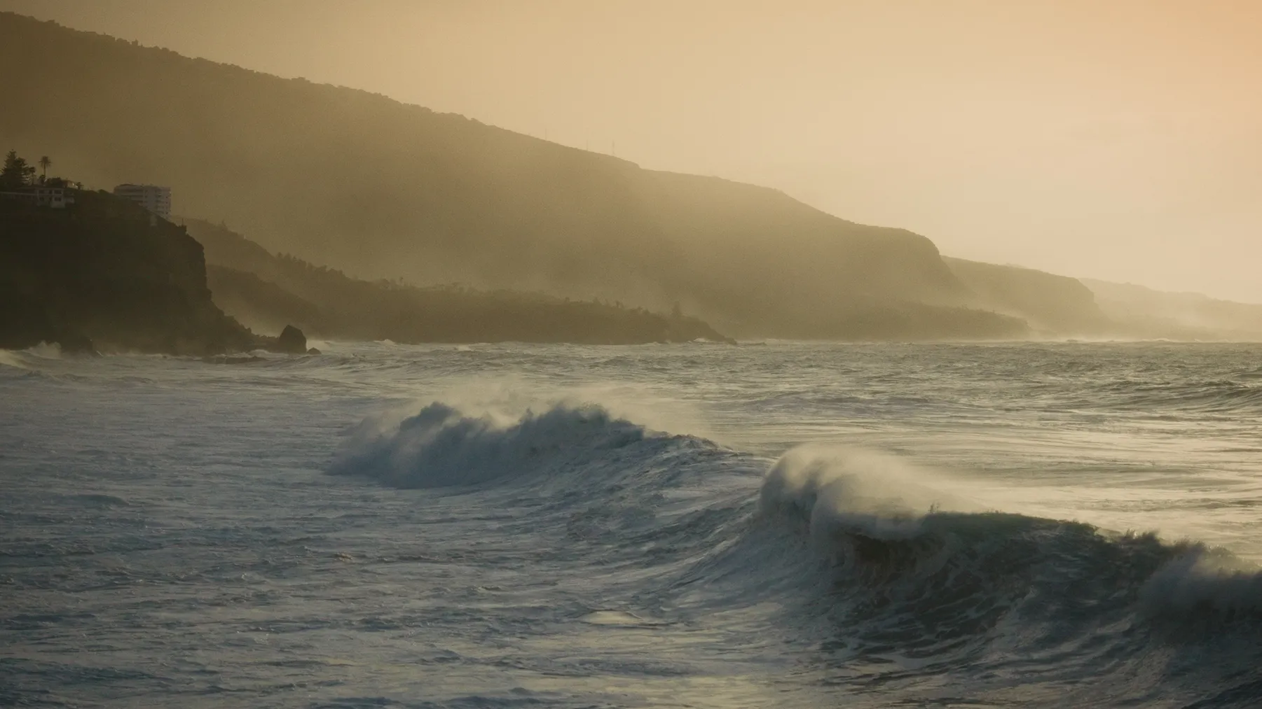 Soar x Altra, photograph by Paul Calver