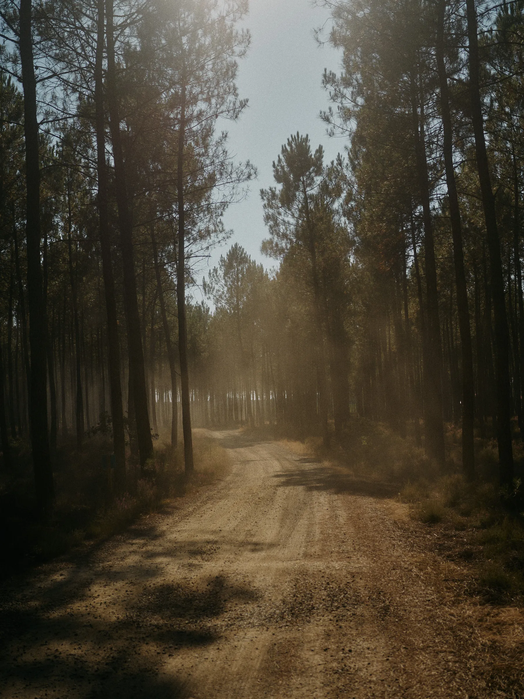 Unspoken Connections, photograph by Paul Calver