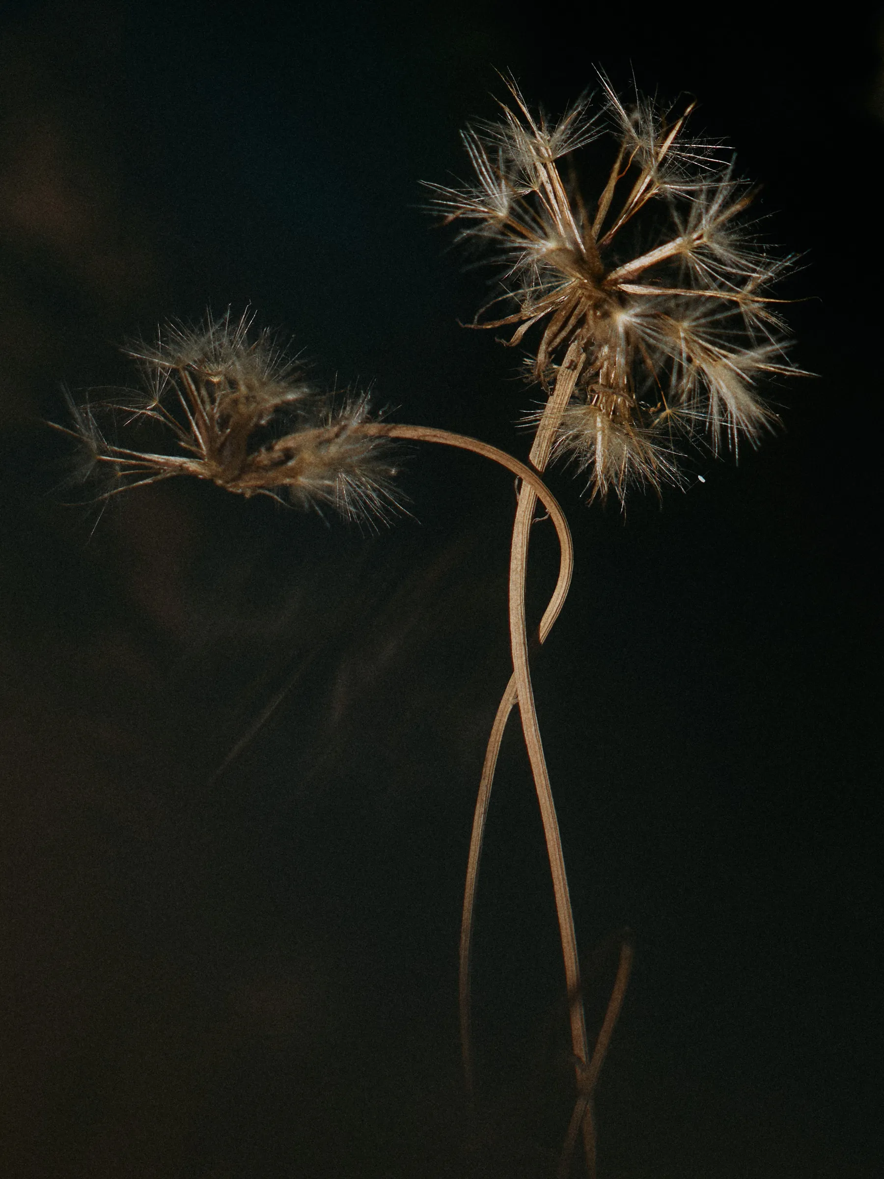 Unspoken Connections, photograph by Paul Calver