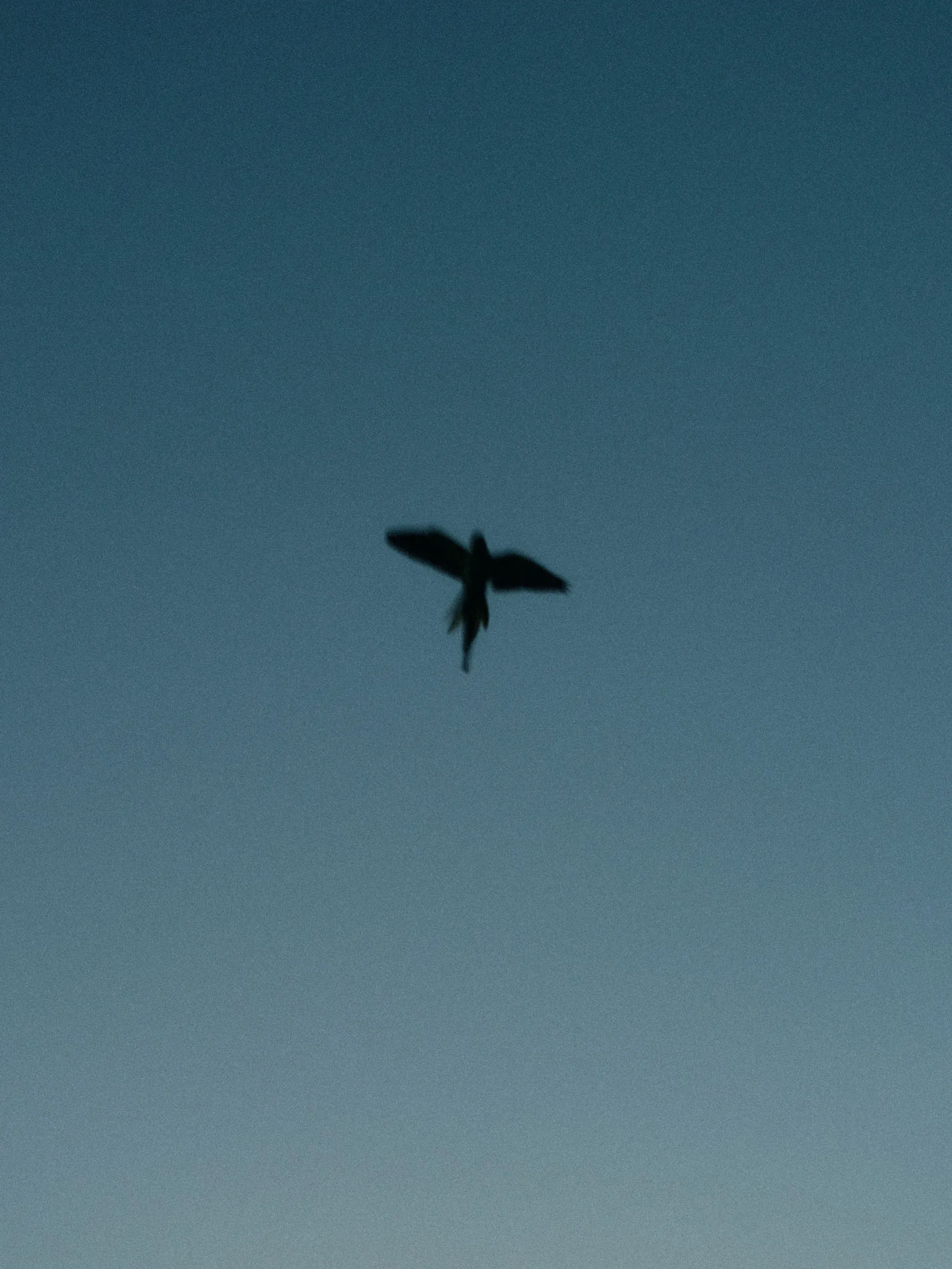 Unspoken Connections, photograph by Paul Calver