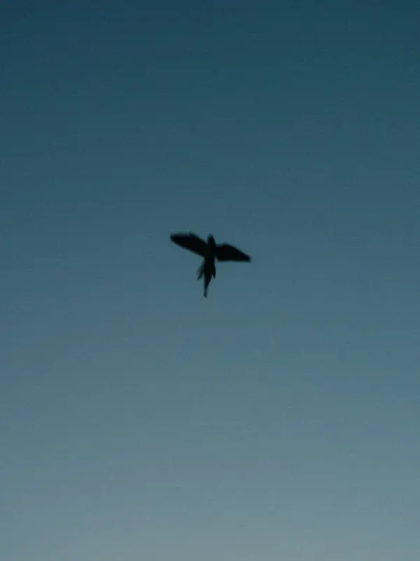Unspoken Connections, photograph by Paul Calver
