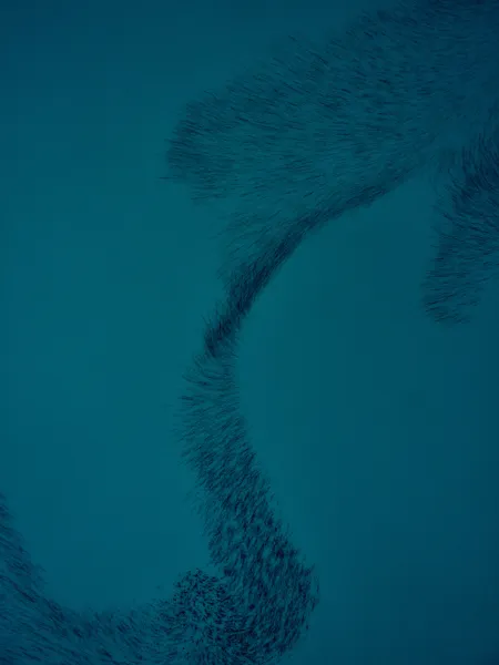 Unspoken Connections