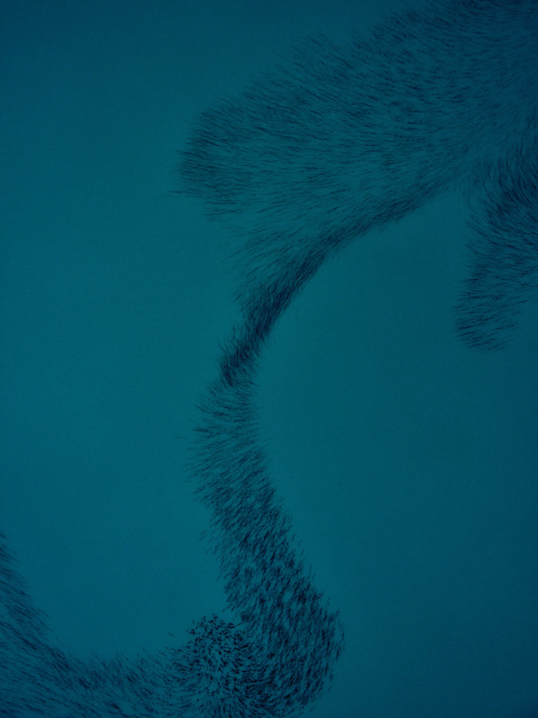 Unspoken Connections, photograph by Paul Calver