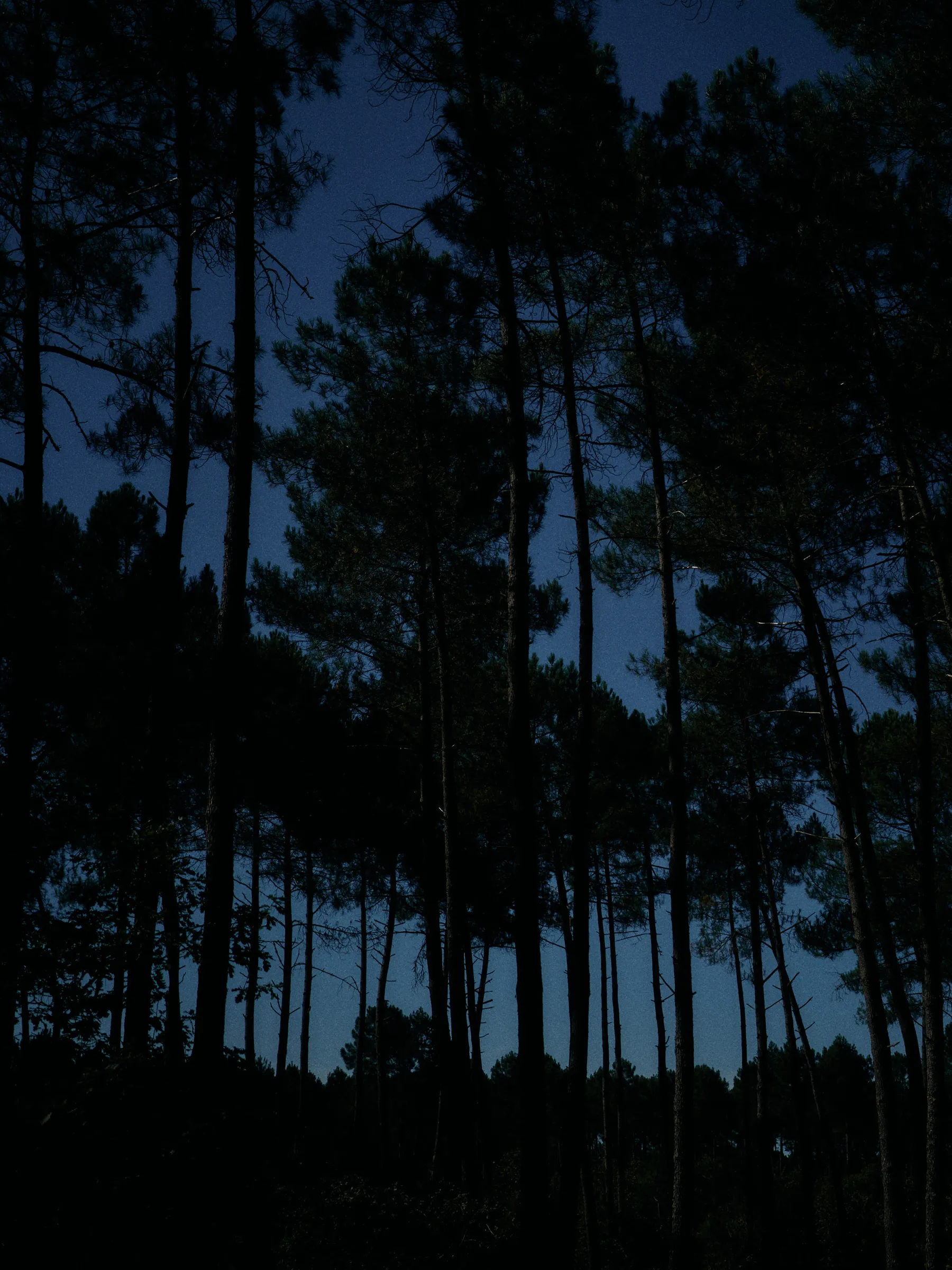 Unspoken Connections, photograph by Paul Calver