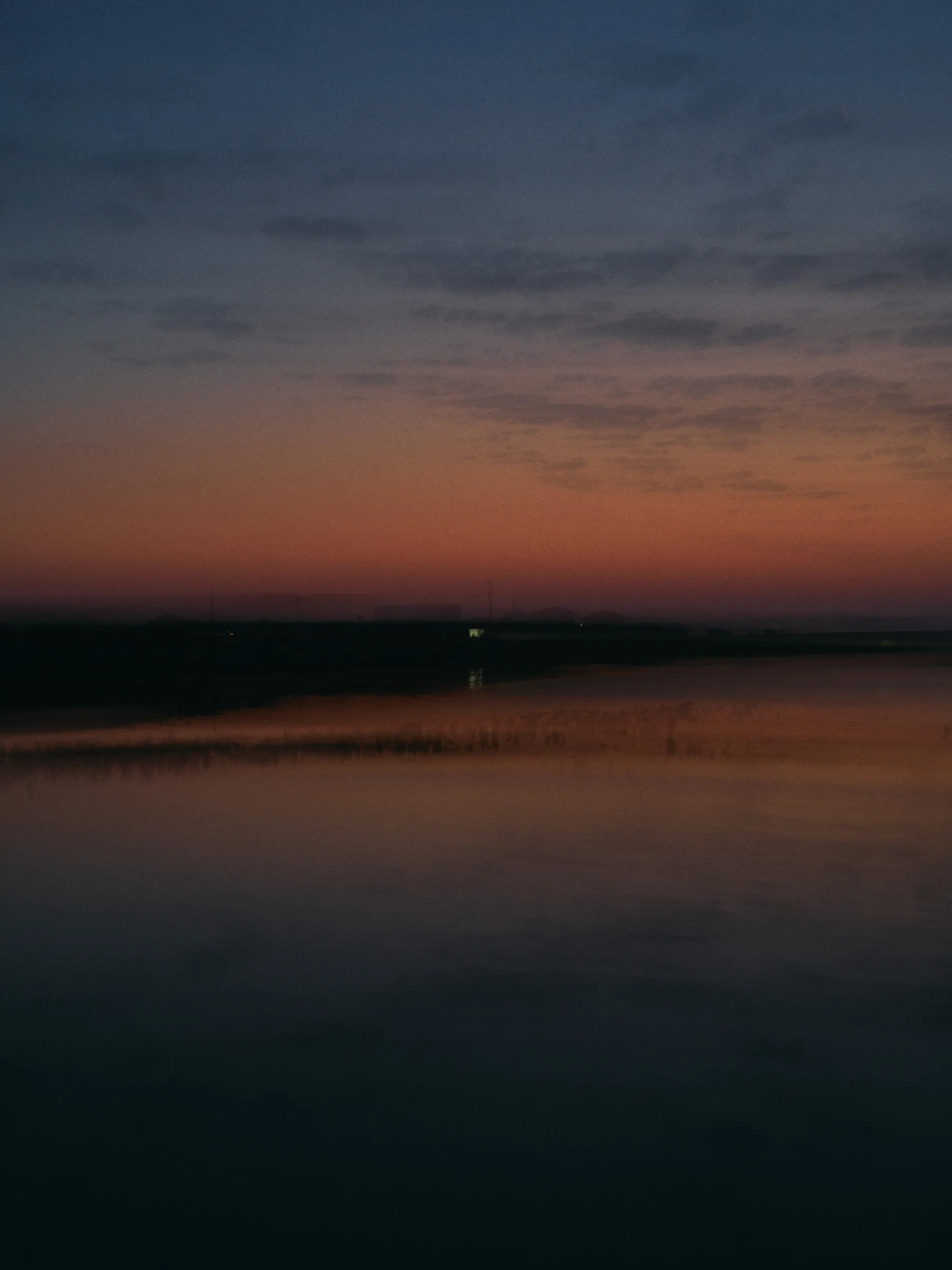 Unspoken Connections, photograph by Paul Calver