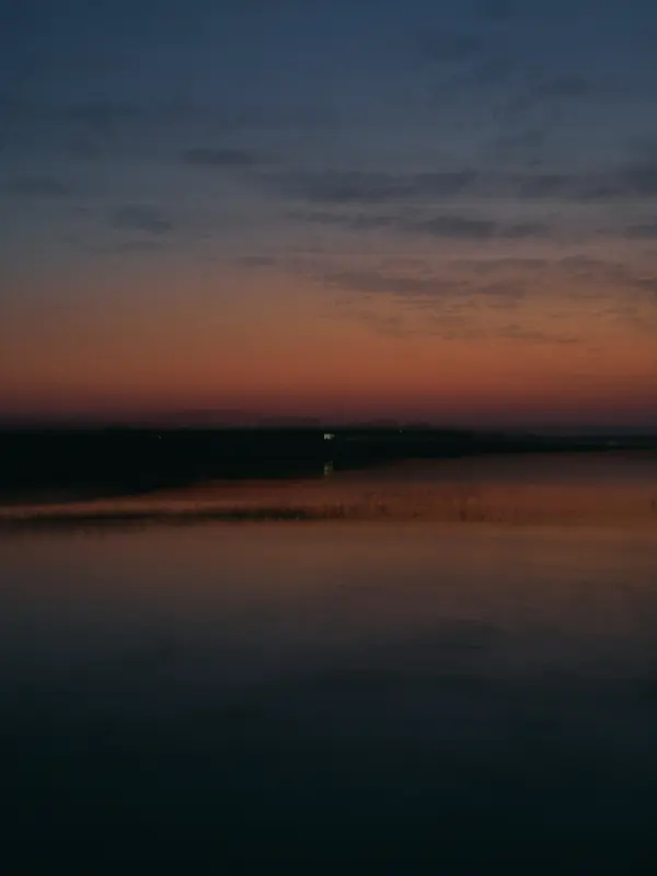 Unspoken Connections, photograph by Paul Calver