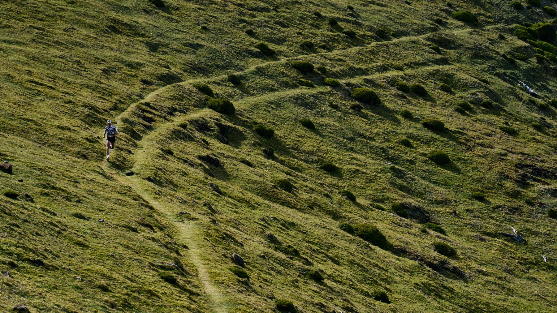 Photograph by Paul Calver